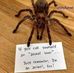 Lily Vandergriff - Facebook