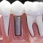 Lillian Vidal DDS LLC - @lillianvidaldds - Instagram