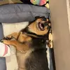 lillianavigil - @lilliana.vigil - TikTok