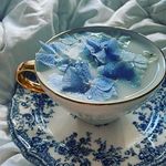 @lillian___walter____ - Instagram