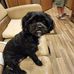 Lillian Whipple - Facebook