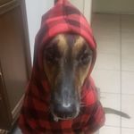 Lillian Winters - @winterslillian - Instagram