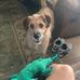 Lillian Woodruff - Facebook