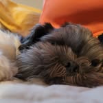 Lillian Woodruff - @lillian.woodruff1218 - Instagram
