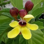 Lilian Yip - Facebook