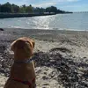 lillianyip192 - @lillianyip192 - TikTok