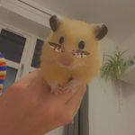 Lillie Allison - @lilliexx1608 - Instagram