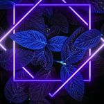 Caomei lillie bacon - @ker_0.1 - Instagram