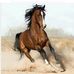 Layla Ben - Facebook