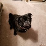 Lillie Bean - @lilliebean0512 - Instagram