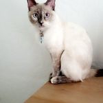Lillie Bean - @thelillie_bean - Instagram