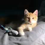 Lillie Bean - @sillylilliebean - Instagram