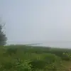 Lillie Everetts - @lillie.everetts - TikTok