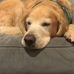 Lilly Goetz - Facebook