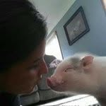 Ham - @lilliehammie - Instagram
