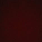 lillieroyster101 - @lillieroyster101 - Instagram