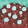 lillieoshields - @lillieoshields - TikTok