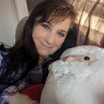 Lillie Webb - @lillie.webb.5 - Instagram