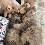 Lilly & Bailey - @lilly_and_bailey_ - Instagram