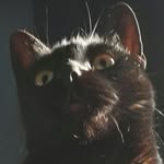 Lilly Ball - @lillythelurcher2020 - Instagram