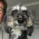 Lilly Ball - @lillythelurcher2019 - Instagram