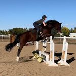 Lilly Bennett - @lillycb_eq - Instagram