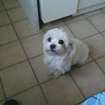 Lilly Beyer - @beyerlilly - Instagram
