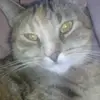 Lilly Beyer - @catgirl173465 - TikTok