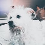 Lilly From The block - @lilly_from_the_bloc - Instagram