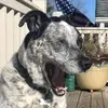 lilly - @lillyblockk - TikTok