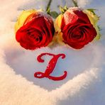 Lilly Bowen - Facebook