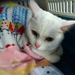 lilly Boyce - @lillyboyce009 - Instagram