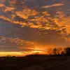 Lilly_585 - @lilly_boyer22 - TikTok
