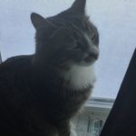 Lilly Boyer - @lillyboyer22 - Instagram