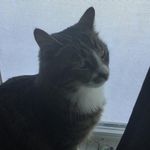 Lilly Boyer - @lillyboyer55 - Instagram