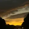 lilly_buck1 - @lilly_buck1 - TikTok