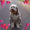 Lilly Buckwalter - @lillybuckwalter - TikTok