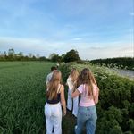 Lily Burton - @_lily_burton - Instagram