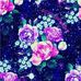 Lilly Cain - Facebook