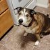 Lilly Sarah Cain - Facebook