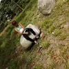 lillycalderon09 - @lillycalderon09 - TikTok