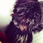 Lilly Chastain - @lilly_mac_n_cheese - Instagram