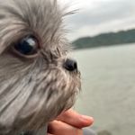 Lilly Chin - @lilly_liec - Instagram
