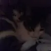 user2365127925664 - @lilly_christy20 - TikTok