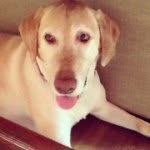 Grace - @lilly_cody14 - Instagram