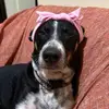 lillycody25 - @lillycody25 - TikTok