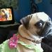 Lilly Compton - Facebook