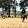 lilly_compton - @not_lillycompton - TikTok