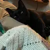 Lily Compton - @straight.outa.compton - TikTok