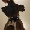 Lily Compton - @lily.compton8 - TikTok